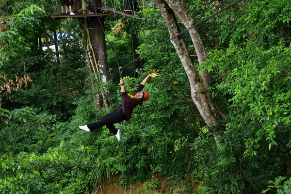 Zipline и верёвочный парк Микли